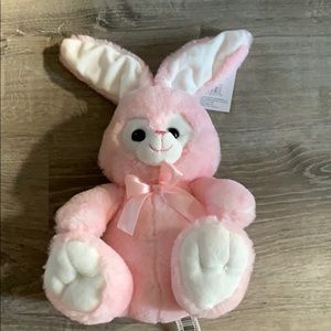 A Bunny Stuffed Animal